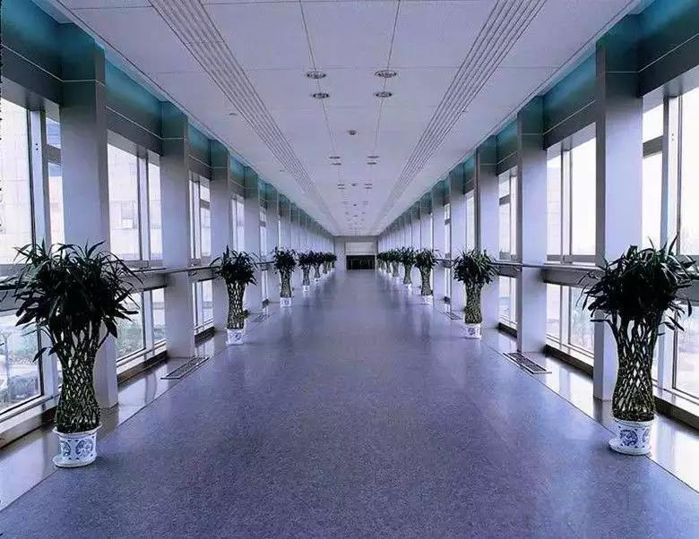 03.jpg